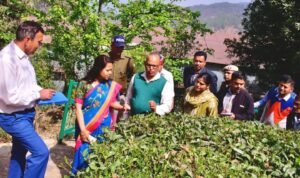 कौसानी की चाय को नई पहचान देने की पहल — जिलाधिकारी ने चाय बागान व फैक्ट्री का निरीक्षण कर दिए मार्केटिंग व पर्यटन से जोड़ने के निर्देश