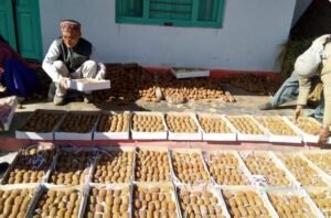 कीवी और औषधीय खेती से चमकी बागेश्वर की अर्थव्यवस्था, सैकड़ों किसानों को मिला रोजगार