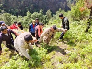 वाहन अनियंत्रित होकर गहरी खाई में गिरा