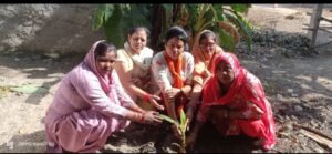 एक पेड़ उन लावारिस मृतकों के नाम जिनके आपने भी आखिरी समय में उनके साथ नहीं थे , क्रांतिकारी शालू सैनी